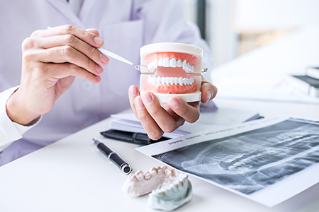The image is a composite showing two different scenes with a dental professional examining teeth models while seated at a desk with various dental tools and equipment, including a cup of dental instruments and a dental model held up for examination.